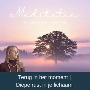 🌿Meditatie om uit je hoofd te komen | Voel rust in je lichaam