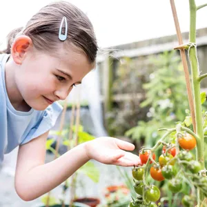 Kinderhörspiel und Geschichten - Das große Tomatendrama
