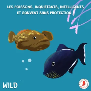 Les poissons : inquiétants, intelligents et souvent sans protection !