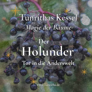 Magie der Bäume - Holunder