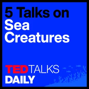 The Mystery of Sea Creatures (2/5): A giant Jurassic sea dragon, unearthed | Dean R. Lomax