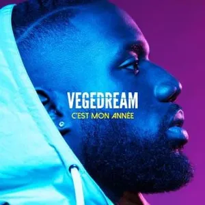 VEGEDREAM - CEST MON ANNEE - INTROMIX