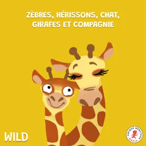 Zèbres, Hérissons, Chats, Girafes et compagnie !