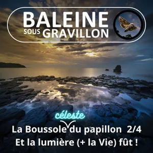 S08E13 La Boussole céleste du papillon 2/4 : Et la lumière (+ la Vie) fût !