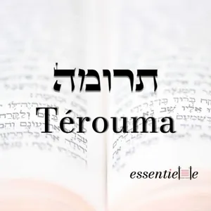 5786 - Térouma - La femme dans toute sa splendeur