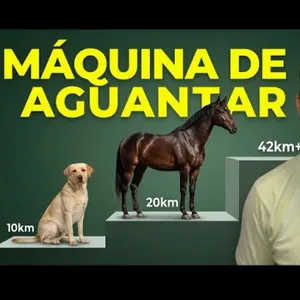 328. Por qué eres más LENTO que un CABALLO pero aún así puedes GANARLE en una CARRERA?