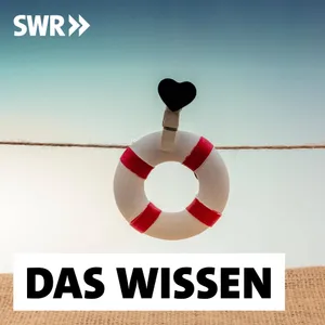 Suizide – Wie lassen sie sich verhindern?