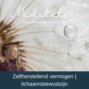 🌿 Meditatie: Activeer zelfherstellend vermogen | lichaamsbewustzijn