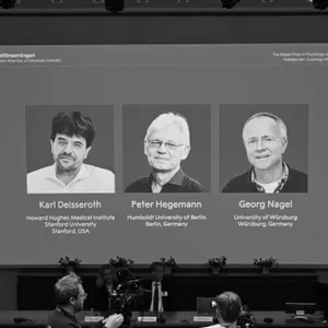 Sie brachten Licht in die Hirnforschung – dafür gibt es den Nobelpreis