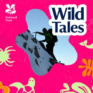 The Climbers of Eryri | A Story of Ice and Flowers