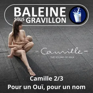 S08E10 Camille... sous le gravillon 2/3 : "S'isoler du bruit et de la fureur du monde"