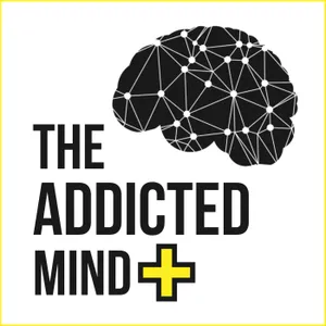 TAM+ EP 105 5 Crucial Mindset Shifts for Addiction Recovery