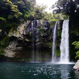 Relájese 8 Horas Relajante Sonidos De La Naturaleza Sueño Natural Calmante Agua Sonido Bosque Canción De Pájaro Cascada