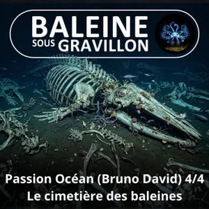 S08E21 Passion Océan 4/4 : Le miracle des cimetières de baleines (Bruno David)