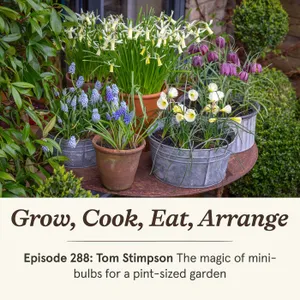 Tom Stimpson: The magic of mini-bulbs for a pint-sized garden - Episode 288