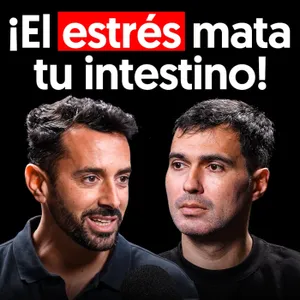 Catedrático de Nutrición: ¡El Estrés Hace que la Comida te Siente Mal y Cómo Evitarlo!