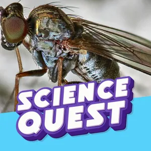 Why Do Mosquito Bites Itch?🦟