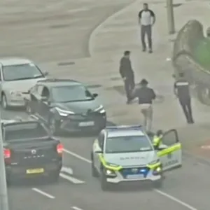 "Gardai Should Have Tasered Men Involved In City West Savage Attack"