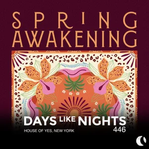 DAYS like NIGHTS 446 - House of Yes, New York