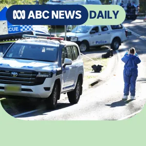 Why can’t we stop the DV crisis?