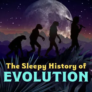 Evolution