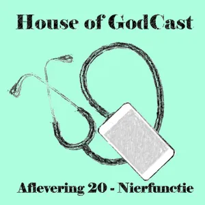 Aflevering 20 - Nierfunctie