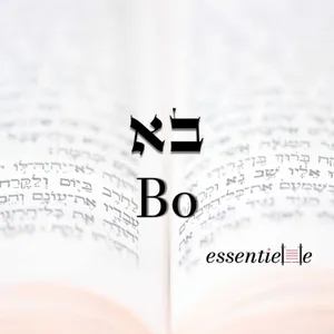 5786 - Bo - Sortir de sa zone de confort