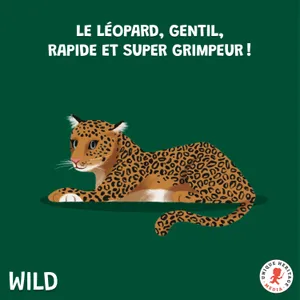 Le Léopard, gentil, rapide et super grimpeur !
