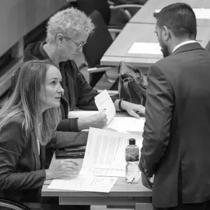 Der erste AfD-Beschluss – mit Hilfe des BSW (Update)