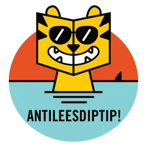 ANTILEESDIPTIP #3 Constança (12) tipt De zomer die alles was