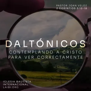 Daltónicos: contemplando a Cristo para ver correctamente