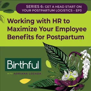Working with HR to Maximize Your Employee Benefits for Postpartum, Katy Dahl