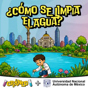 ¿Cómo se limpia el agua?