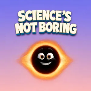 What is a black hole?
