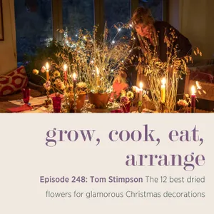 Tom Stimpson: The 12 best dried flowers for glamorous Christmas decorations - Episode 248