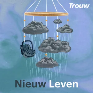 Aflevering 3. Blauwdruk
