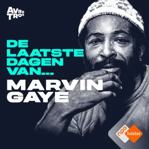 Trailer seizoen 3: Marvin Gaye