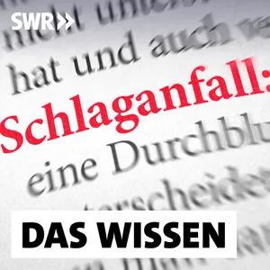 Schlaganfall – Schnell handeln, besser vorbeugen und therapieren
