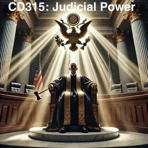 CD315: Judicial Power