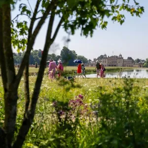 502: RHS Badminton Flower Show