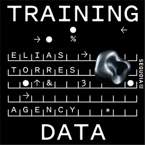 Why Businesses Are Rejecting the AI They’ve Asked For: Agency CEO Elias Torres