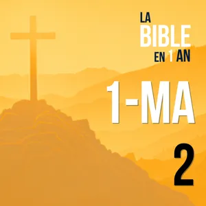 J295 - Matthias enflamme la révolte - matin ☼
