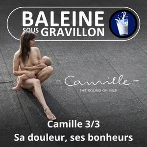 S08E11 Camille... sous le gravillon 3/3 : "Protéger le Vivant : on s'y met quand... vraiment ?"