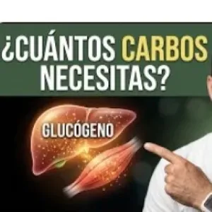 294. ¿Cuántos Carbohidratos Necesitas Realmente? Glucógeno Explicado