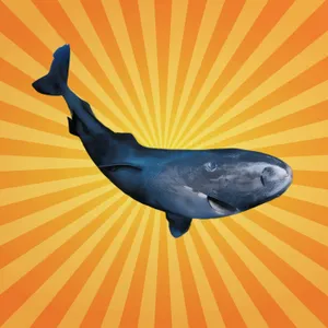 Le requin du Groenland peut vivre plus de 400 ans !