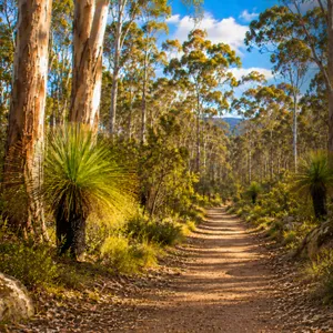 The Path of Immediate Liberation ~ Dzogchen Meditation