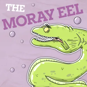 Why Are Moray Eels' Faces So Long?