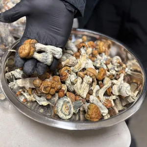 A trip to the magic mushroom megachurch