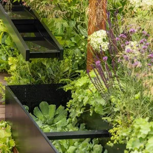 504: RHS Sandringham Flower Show: climate resilient trees, rainwater capture, frogs