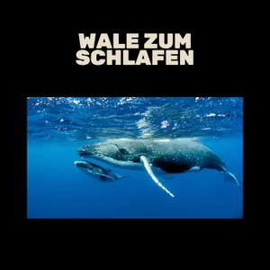 Wale zum Schlafen - Gute Nacht Wale